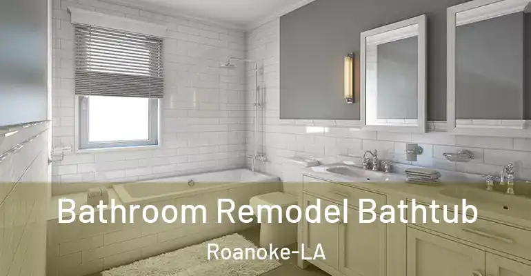 inner Bathroom imggen Bathroom Remodel Bathtub Roanoke-LA