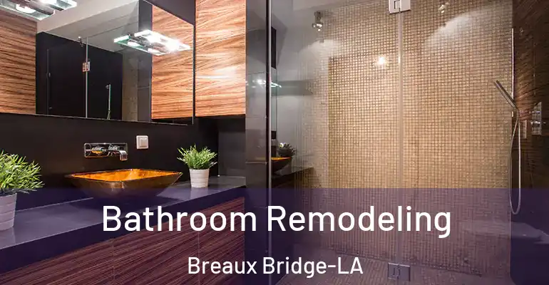 inner Bathroom imggen Bathroom Remodeling Breaux Bridge-LA