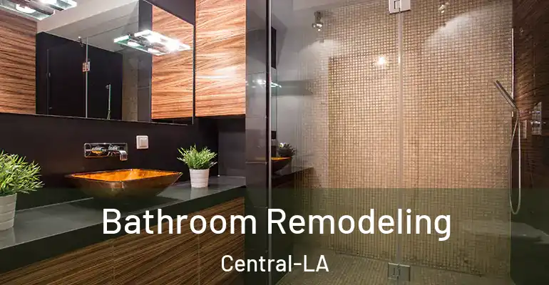 inner Bathroom imggen Bathroom Remodeling Central-LA