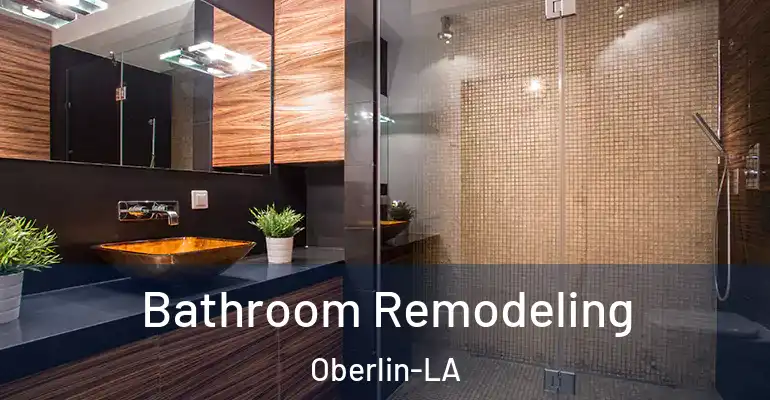 inner Bathroom imggen Bathroom Remodeling Oberlin-LA