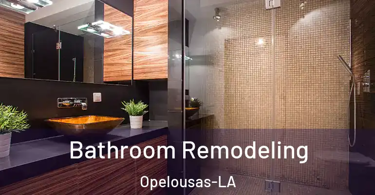 inner Bathroom imggen Bathroom Remodeling Opelousas-LA