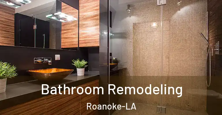 inner Bathroom imggen Bathroom Remodeling Roanoke-LA