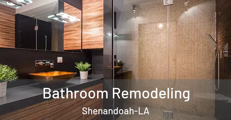 inner Bathroom imggen Bathroom Remodeling Shenandoah-LA