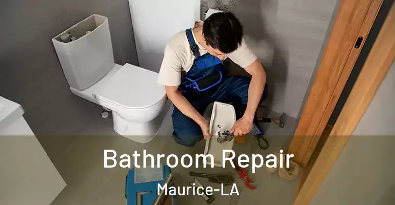 inner Bathroom imggen Bathroom Repair Maurice-LA