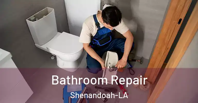 inner Bathroom imggen Bathroom Repair Shenandoah-LA