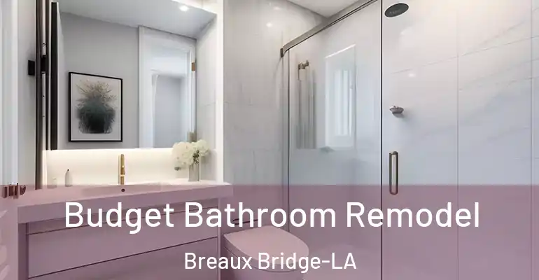 inner Bathroom imggen Budget Bathroom Remodel Breaux Bridge-LA