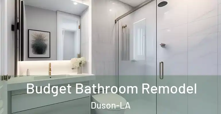 inner Bathroom imggen Budget Bathroom Remodel Duson-LA