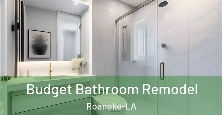 inner Bathroom imggen Budget Bathroom Remodel Roanoke-LA