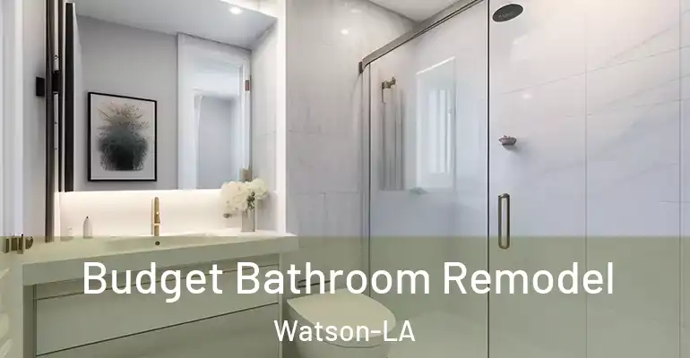 inner Bathroom imggen Budget Bathroom Remodel Watson-LA