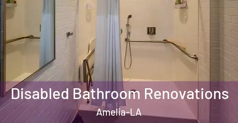 inner Bathroom imggen Disabled Bathroom Renovations Amelia-LA