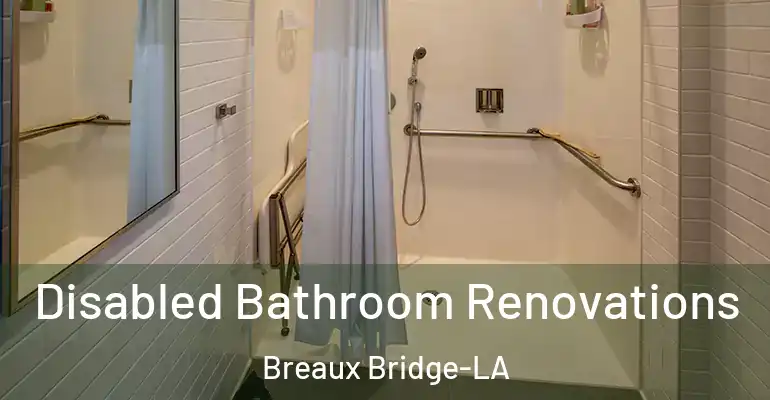 inner Bathroom imggen Disabled Bathroom Renovations Breaux Bridge-LA
