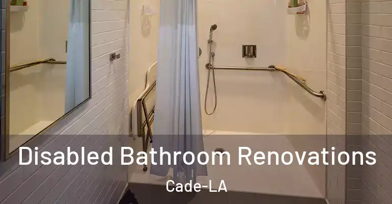 inner Bathroom imggen Disabled Bathroom Renovations Cade-LA