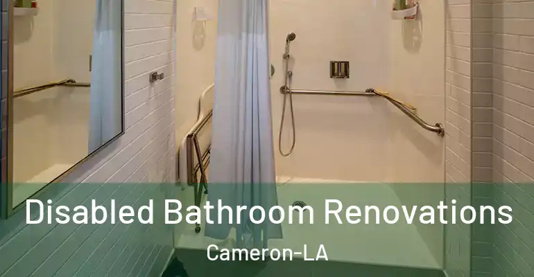 inner Bathroom imggen Disabled Bathroom Renovations Cameron-LA