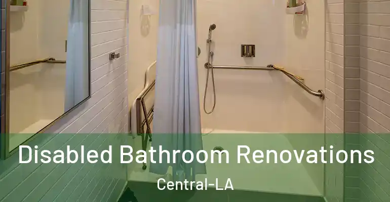 inner Bathroom imggen Disabled Bathroom Renovations Central-LA