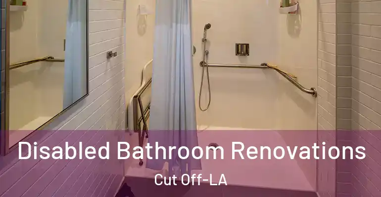 inner Bathroom imggen Disabled Bathroom Renovations Cut Off-LA