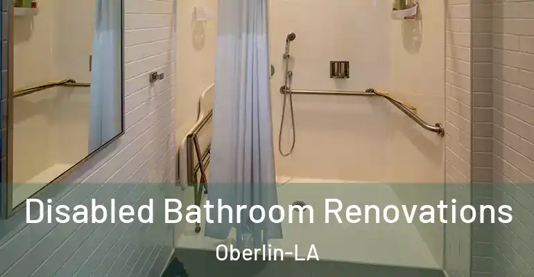inner Bathroom imggen Disabled Bathroom Renovations Oberlin-LA