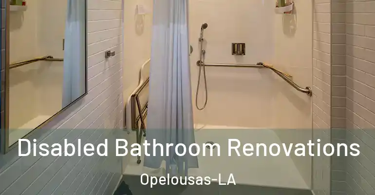 inner Bathroom imggen Disabled Bathroom Renovations Opelousas-LA