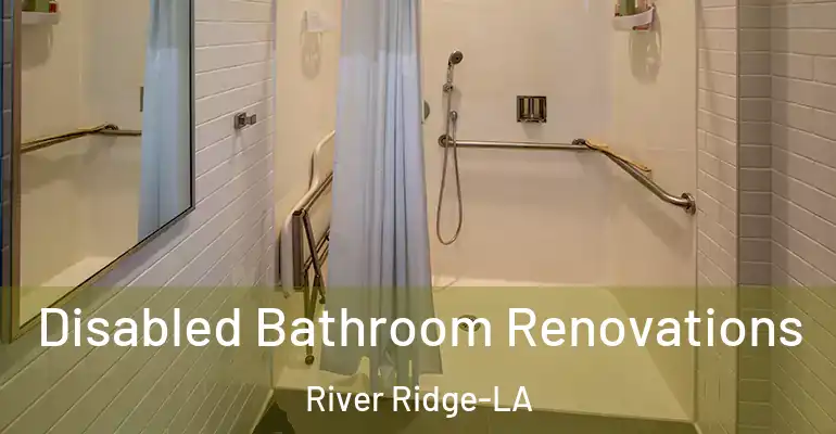 inner Bathroom imggen Disabled Bathroom Renovations River Ridge-LA