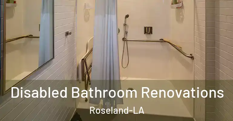 inner Bathroom imggen Disabled Bathroom Renovations Roseland-LA