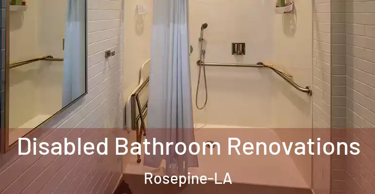 inner Bathroom imggen Disabled Bathroom Renovations Rosepine-LA