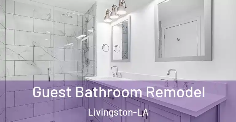 inner Bathroom imggen Guest Bathroom Remodel Livingston-LA