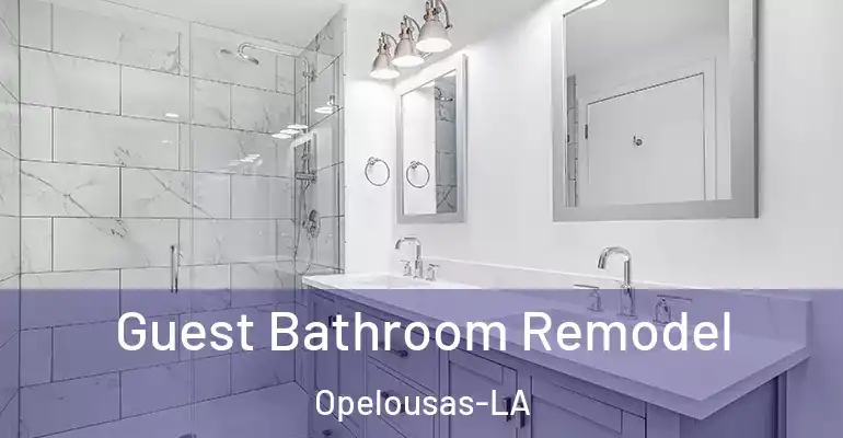 inner Bathroom imggen Guest Bathroom Remodel Opelousas-LA