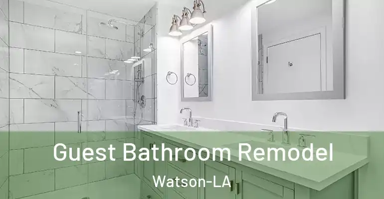 inner Bathroom imggen Guest Bathroom Remodel Watson-LA
