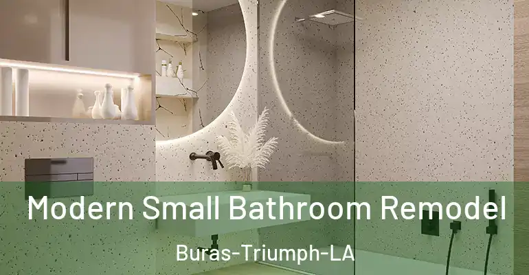 inner Bathroom imggen Modern Small Bathroom Remodel Buras-Triumph-LA