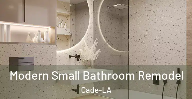 inner Bathroom imggen Modern Small Bathroom Remodel Cade-LA