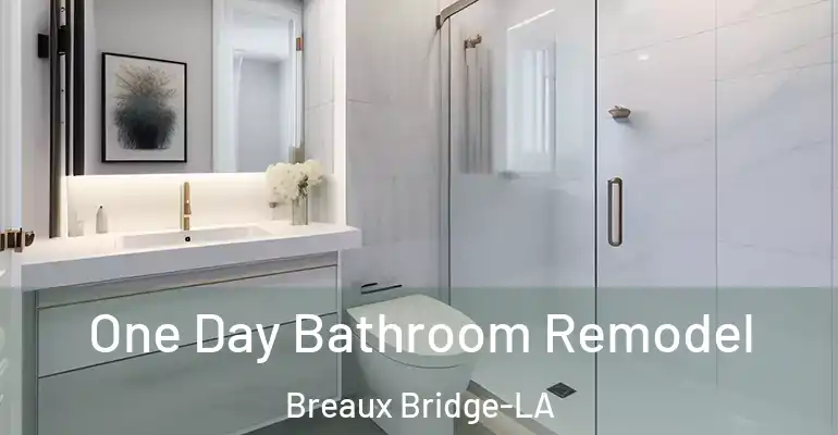 inner Bathroom imggen One Day Bathroom Remodel Breaux Bridge-LA