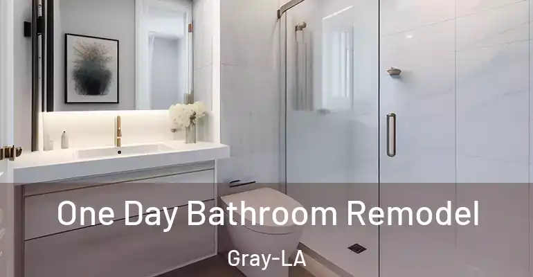 inner Bathroom imggen One Day Bathroom Remodel Gray-LA