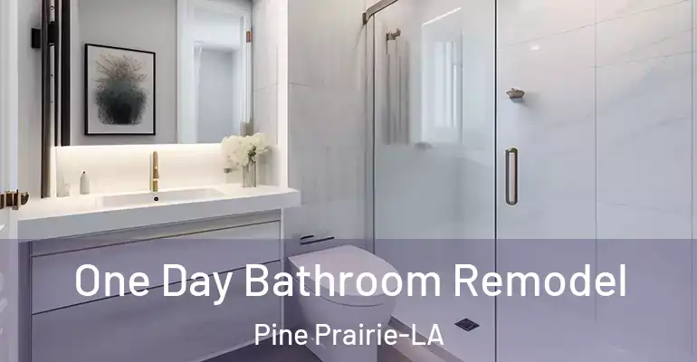 inner Bathroom imggen One Day Bathroom Remodel Pine Prairie-LA
