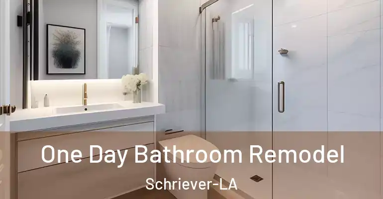 inner Bathroom imggen One Day Bathroom Remodel Schriever-LA