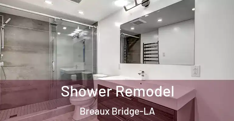 inner Bathroom imggen Shower Remodel Breaux Bridge-LA