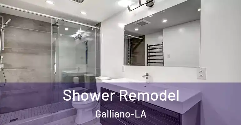 inner Bathroom imggen Shower Remodel Galliano-LA