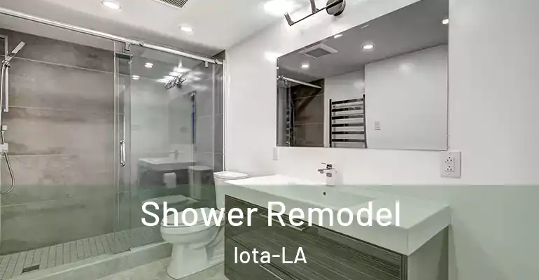 inner Bathroom imggen Shower Remodel Iota-LA