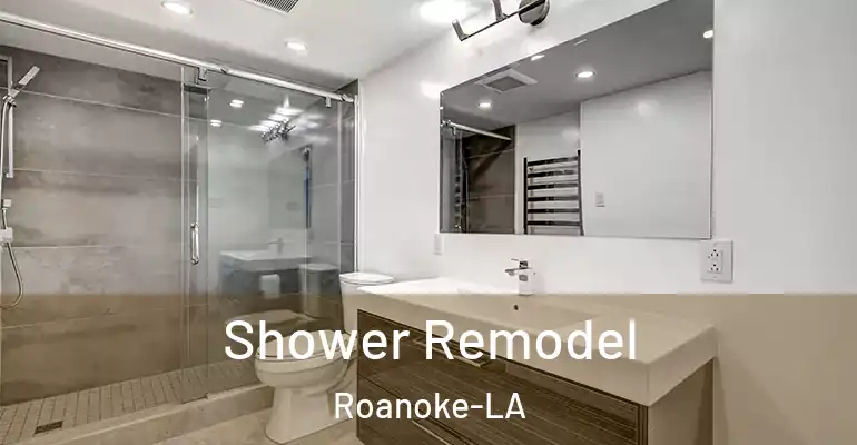 inner Bathroom imggen Shower Remodel Roanoke-LA