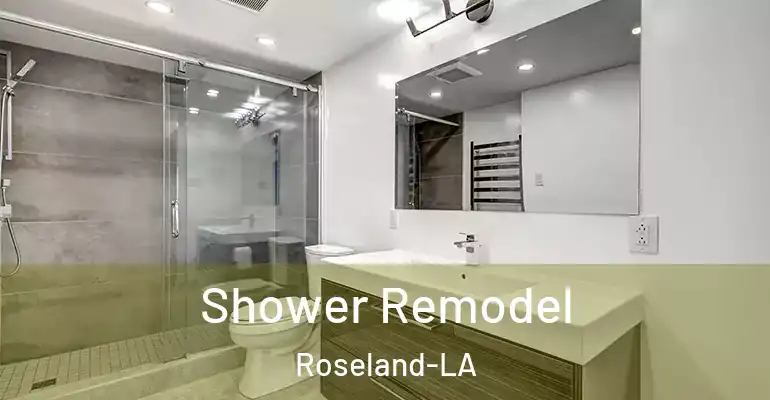 inner Bathroom imggen Shower Remodel Roseland-LA