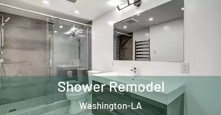 inner Bathroom imggen Shower Remodel Washington-LA