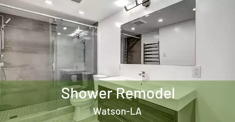 inner Bathroom imggen Shower Remodel Watson-LA
