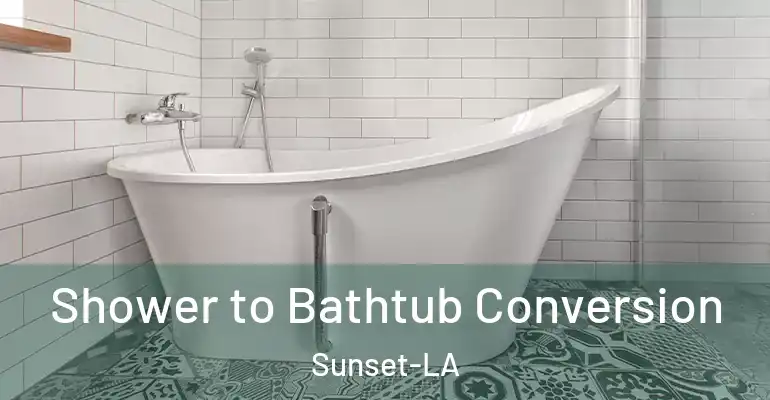 inner Bathroom imggen Shower to Bathtub Conversion Sunset-LA