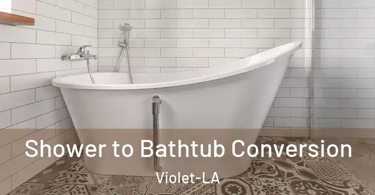 inner Bathroom imggen Shower to Bathtub Conversion Violet-LA