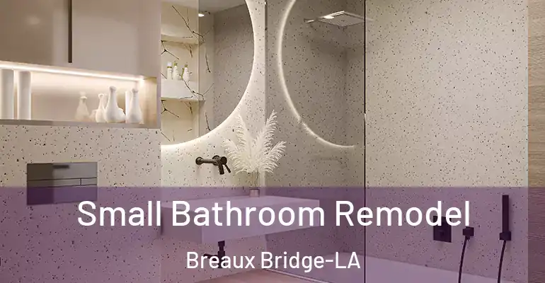 inner Bathroom imggen Small Bathroom Remodel Breaux Bridge-LA