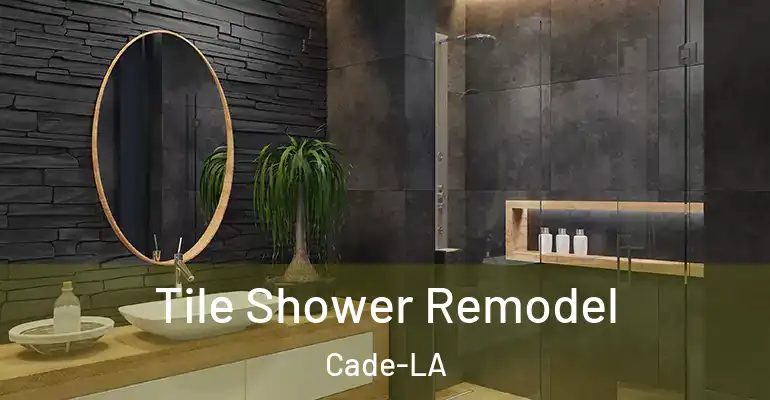 inner Bathroom imggen Tile Shower Remodel Cade-LA