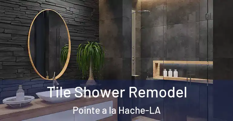 inner Bathroom imggen Tile Shower Remodel Pointe a la Hache-LA