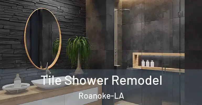 inner Bathroom imggen Tile Shower Remodel Roanoke-LA