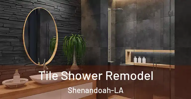 inner Bathroom imggen Tile Shower Remodel Shenandoah-LA