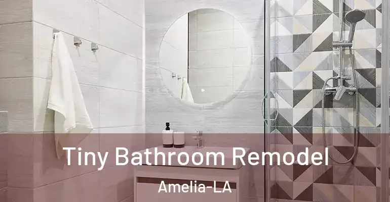 inner Bathroom imggen Tiny Bathroom Remodel Amelia-LA