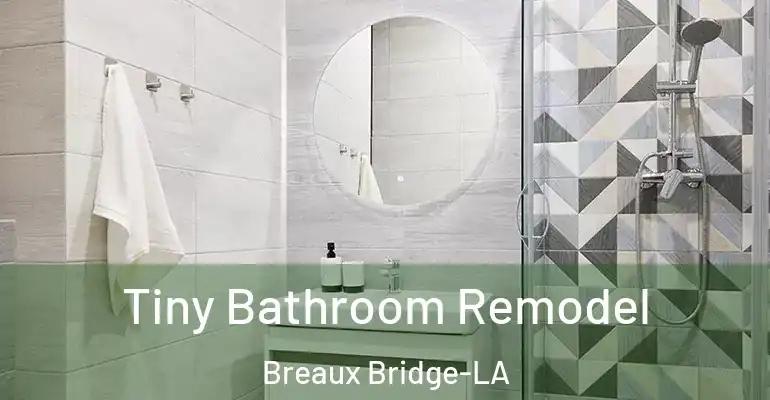 inner Bathroom imggen Tiny Bathroom Remodel Breaux Bridge-LA