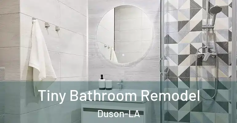 inner Bathroom imggen Tiny Bathroom Remodel Duson-LA